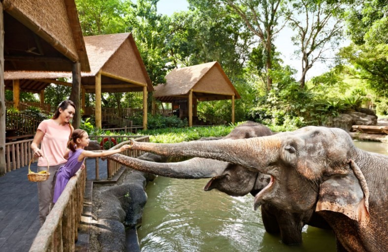 Visit Singapore Zoo